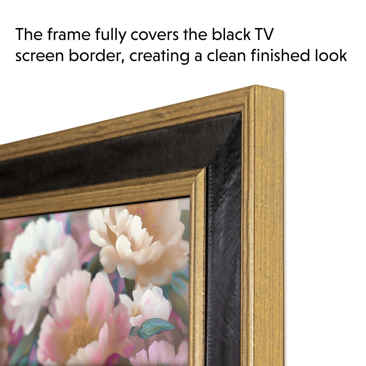 Black and Double Gold TV Frame