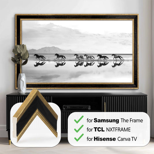 Black and Double Gold TV Frame