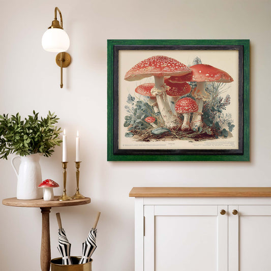 Wooden green and black picture frame on the wall with mushroom vintage art inside.