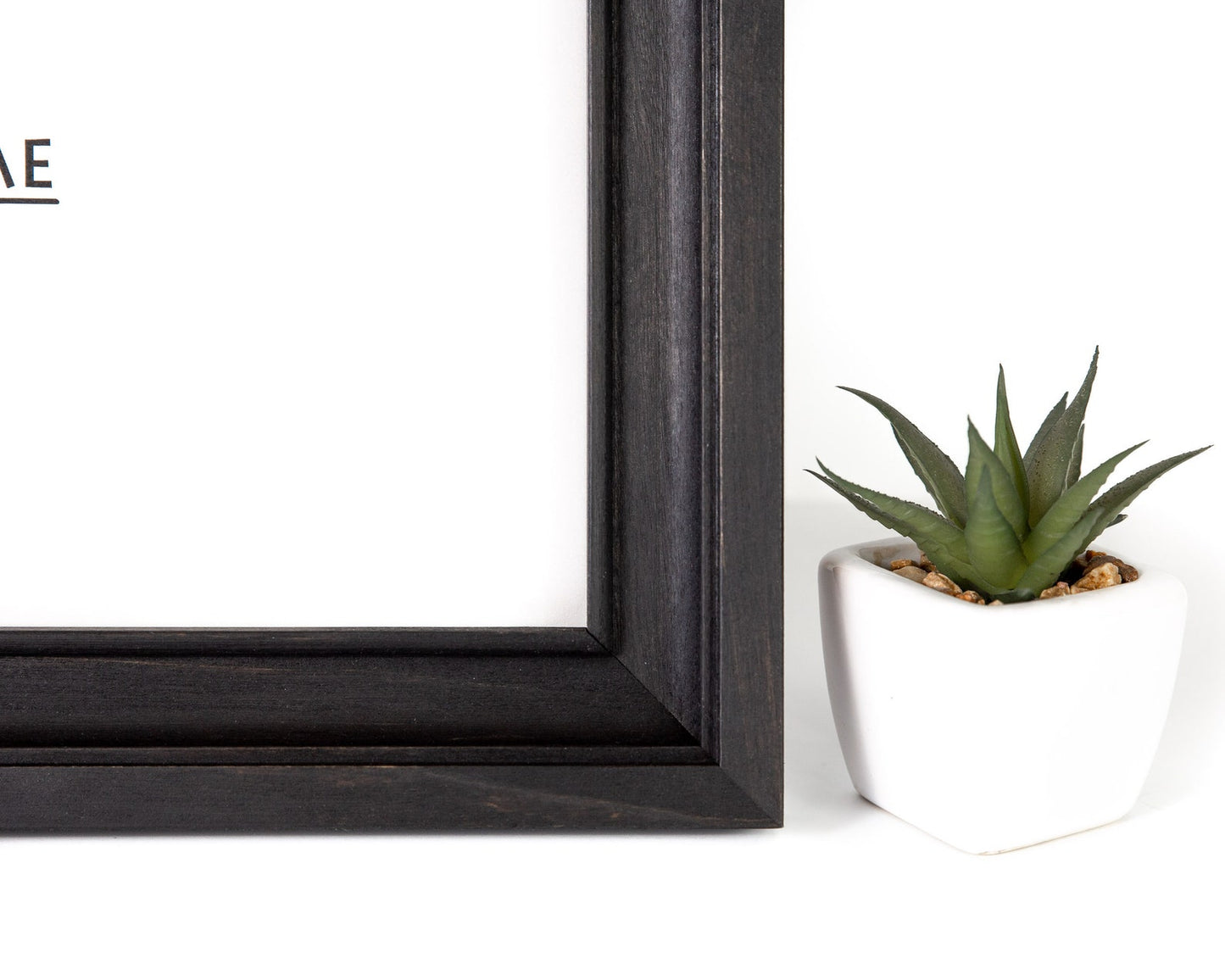 Black picture frame on a white background with a small potted plant. Black Birch Hardwood Picture Frame, wall hanging gift, 8x10 frame, 11x14 frame, photography wall decor, diploma frame wall hanging