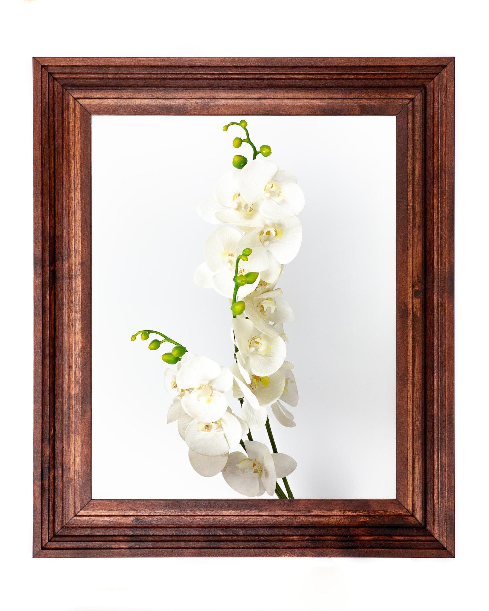 Framed picture of white orchids with a wooden frame on a white background
