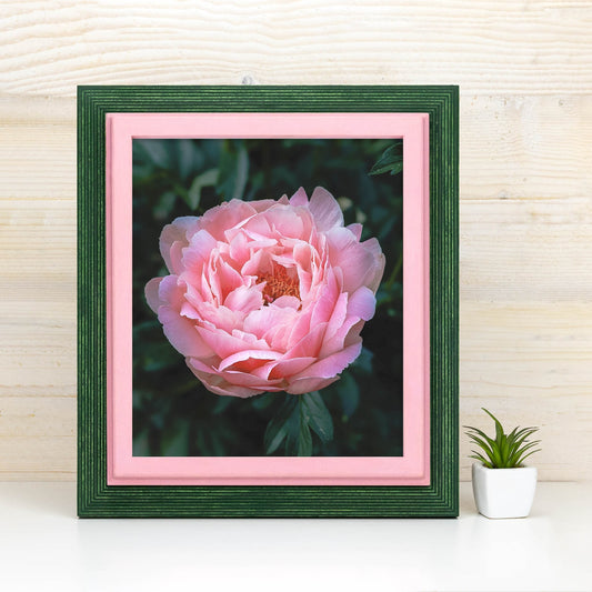 Green and pink baltic birch picture frame for art photography, custom sizes, made from high quality durable materials, perfect for gallery walls. Double Black Custom Picture Frame, Handmade Wooden Photo Frame, Black Poster Frame, Contemporary style A1 A3 A5 4x6 9x12 16x20 18x24 36x40