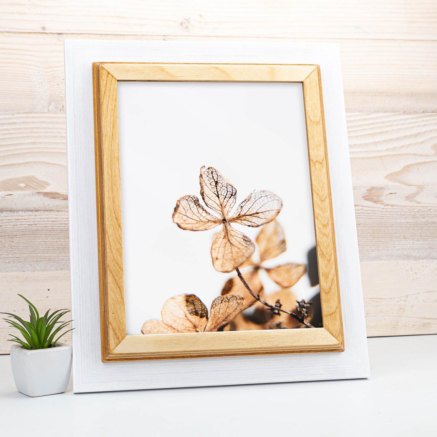 Framed photograph of dried hydrangea flowers on a wooden surface with a small plant. White + Natural Custom Wooden Frame, Handmade Double Color Photo Frame, Modern Wall Frame, Poster Frame A1 A2 A3 A4 11x14 12x18 20x30 24x36