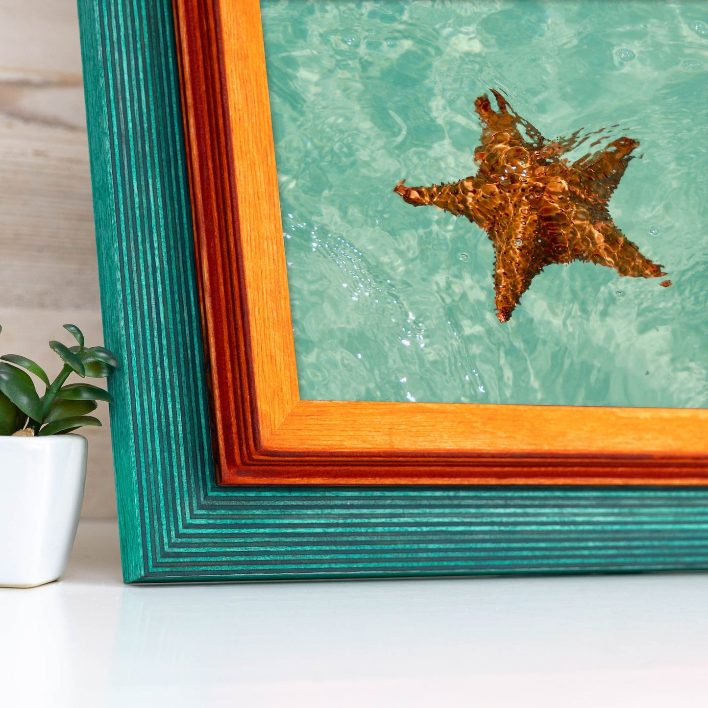 Double Picture Frame