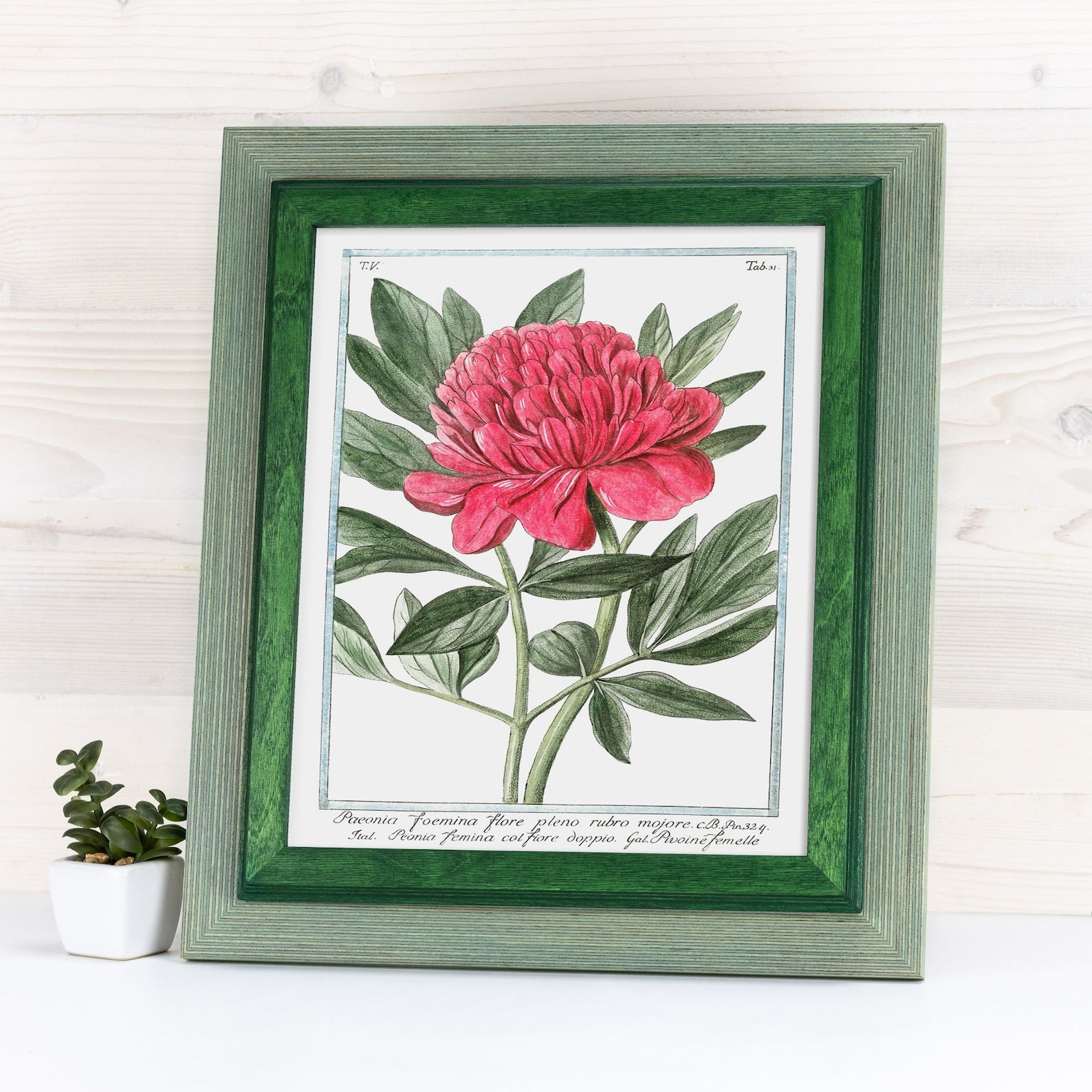 Sage green and dark green baltic birch picture frame for art photography, custom sizes, made from high quality durable materials, perfect for gallery walls. Double Black Custom Picture Frame, Handmade Wooden Photo Frame, Black Poster Frame, Contemporary style A1 A3 A5 4x6 9x12 16x20 18x24 36x40