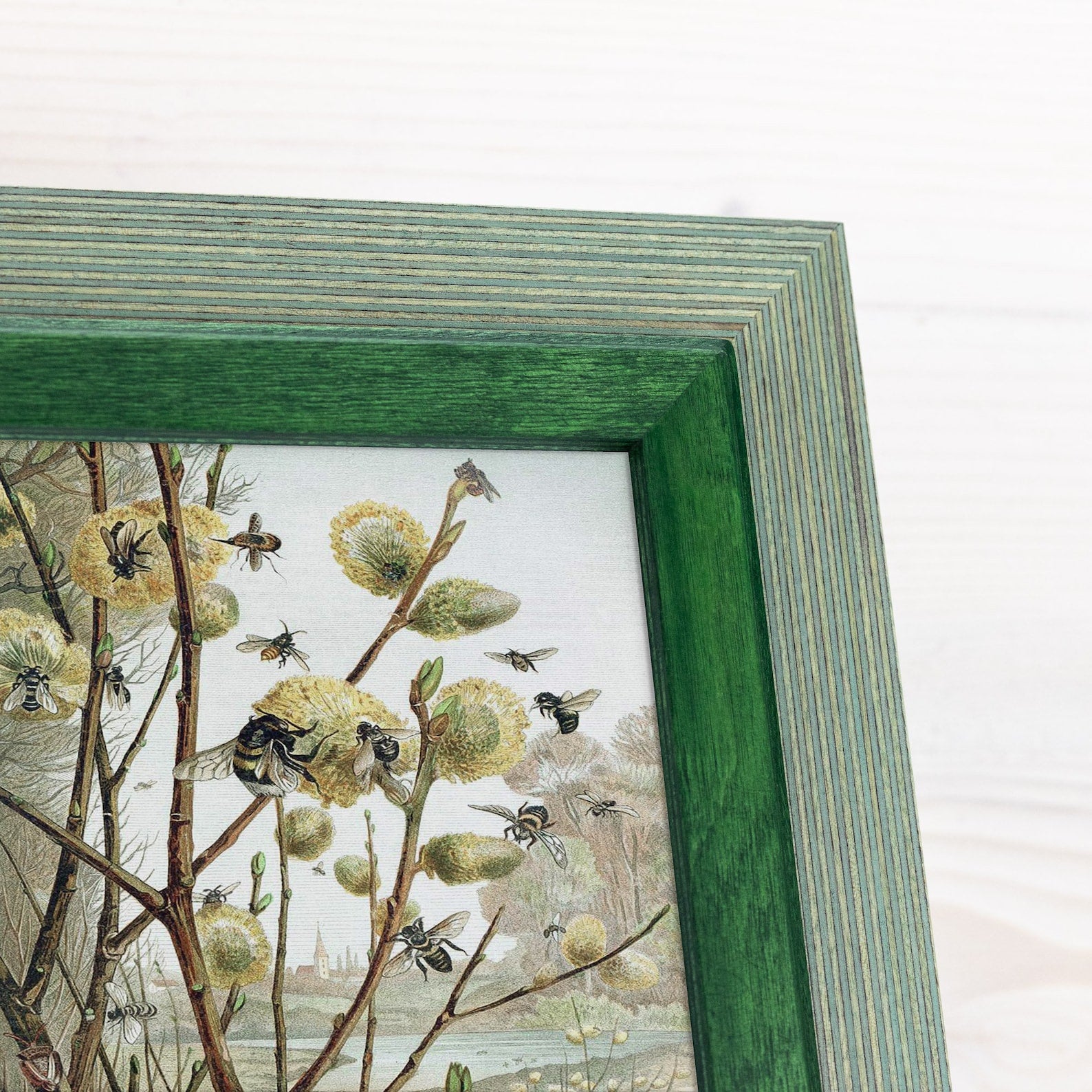 Sage green and dark green baltic birch picture frame for art photography, custom sizes, made from high quality durable materials, perfect for gallery walls. Double Black Custom Picture Frame, Handmade Wooden Photo Frame, Black Poster Frame, Contemporary style A1 A3 A5 4x6 9x12 16x20 18x24 36x40