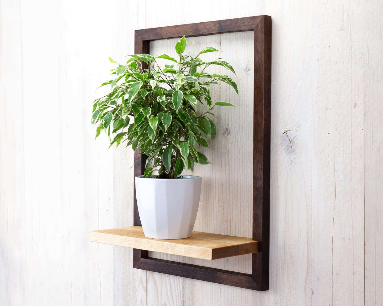 Dark brown wooden framed shelf holding a plant in a pot, hung on the wall of an office or home.