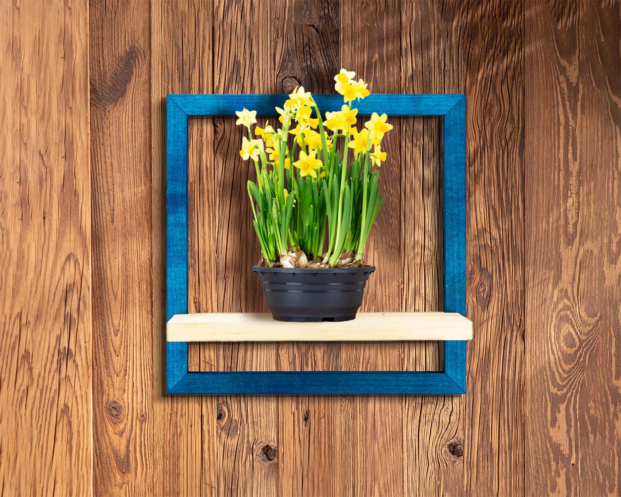 Blue wooden floating shelf unique plant storage.