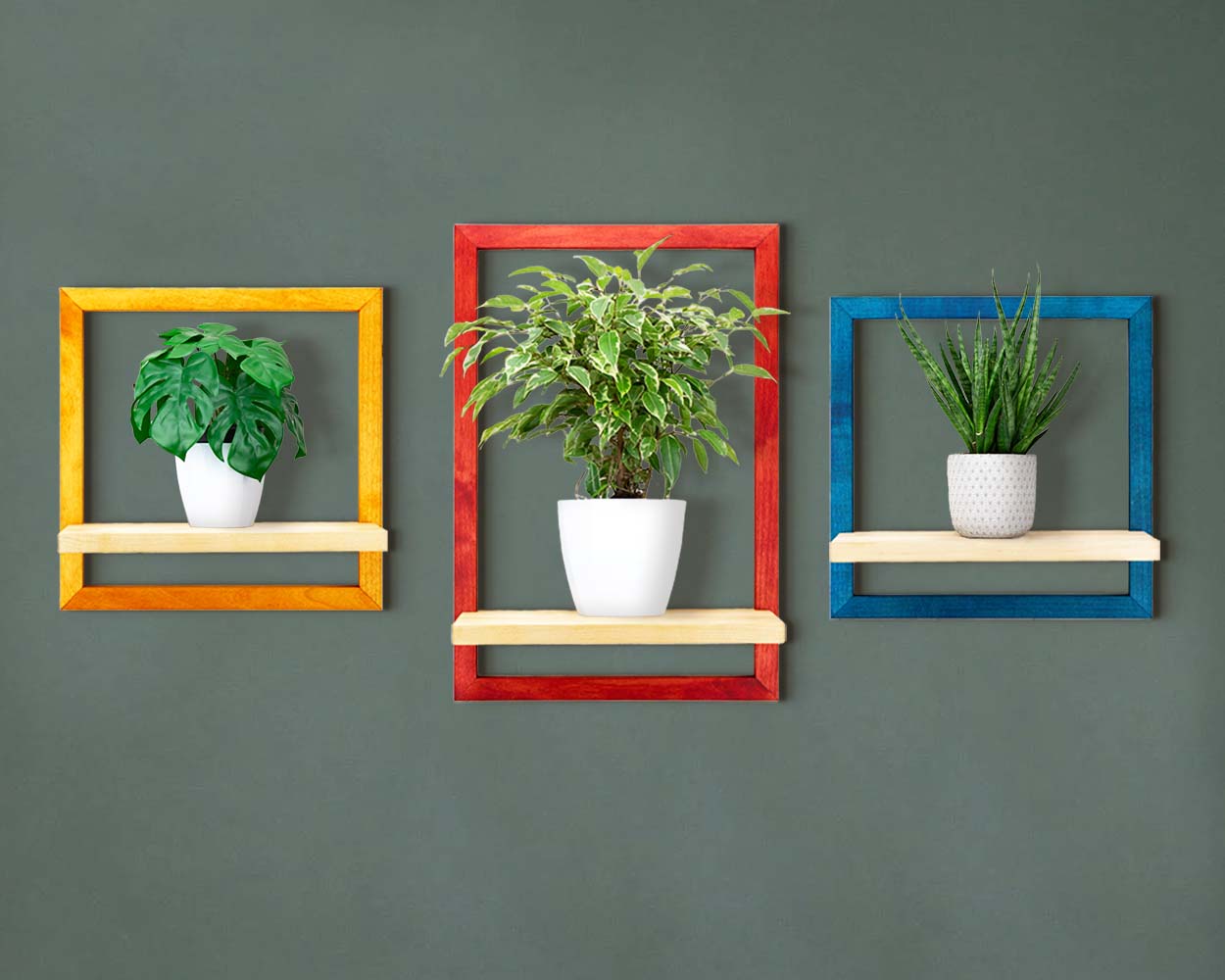 Colorful handmade custom size framed shelves in yellow red blue hung on the wall holding plants in planters.