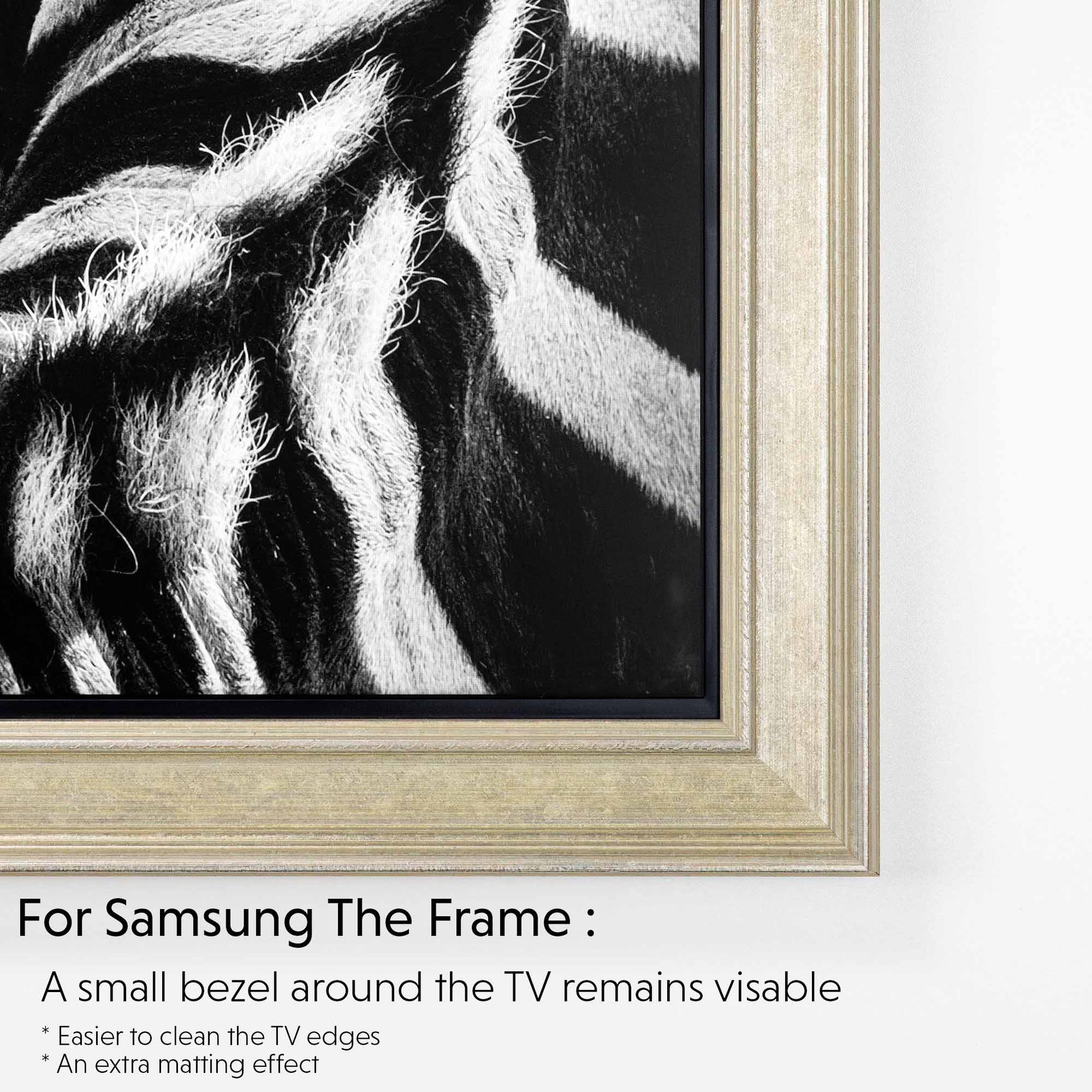 Champagne TV frame corner example