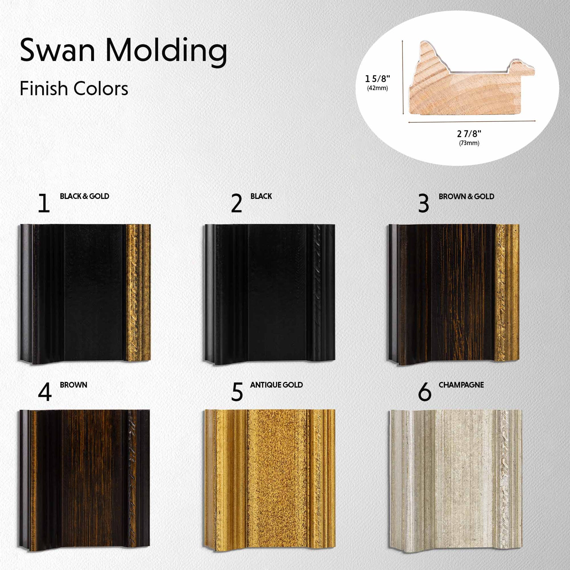 Swan molding sample colors