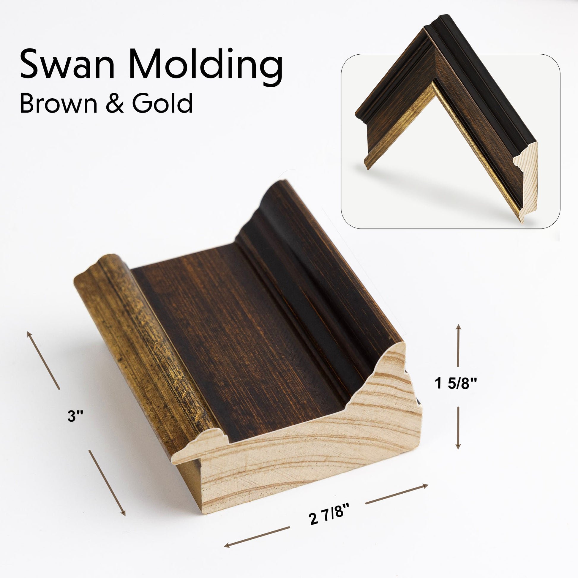 Swan molding size