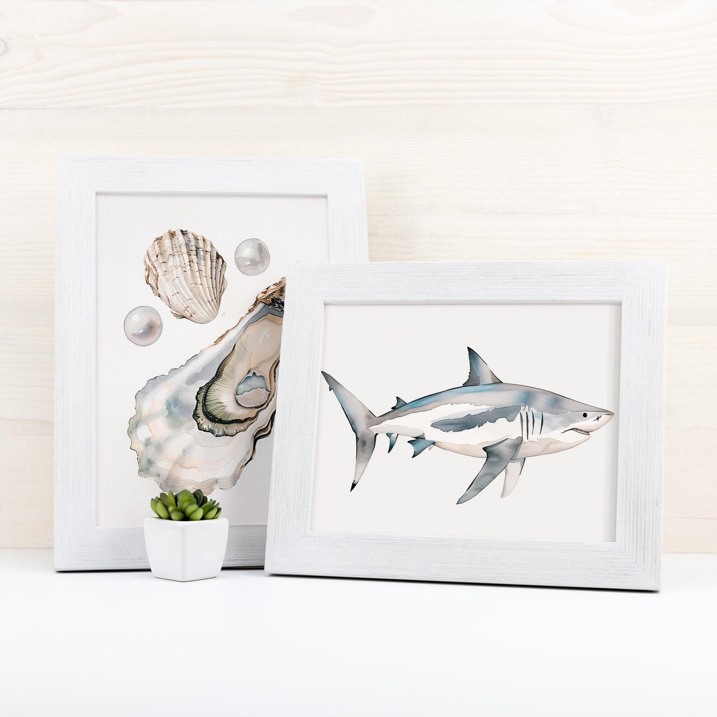 Two framed artworks of a shark and an oyster on a white surface with a light background.
