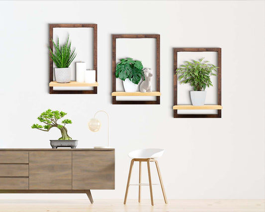 Three dark wood brown framed shelves hung on the wall of a cozy home holding plants and home decor. 